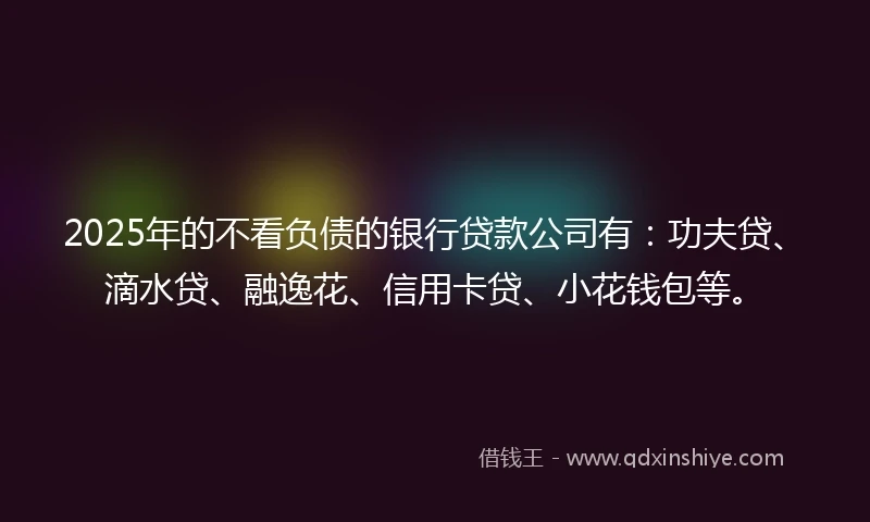 2025年的不看负债的银行贷款公司有：功夫贷、滴水贷、融逸花、信用卡贷、小花钱包等。