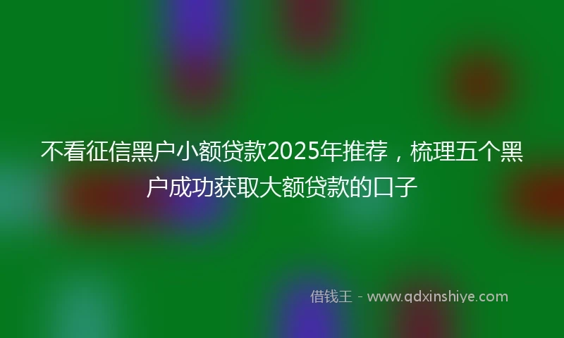 不看征信黑户小额贷款2025年推荐，梳理五个黑户成功获取大额贷款的口子