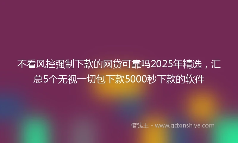 不看风控强制下款的网贷可靠吗2025年精选，汇总5个无视一切包下款5000秒下款的软件