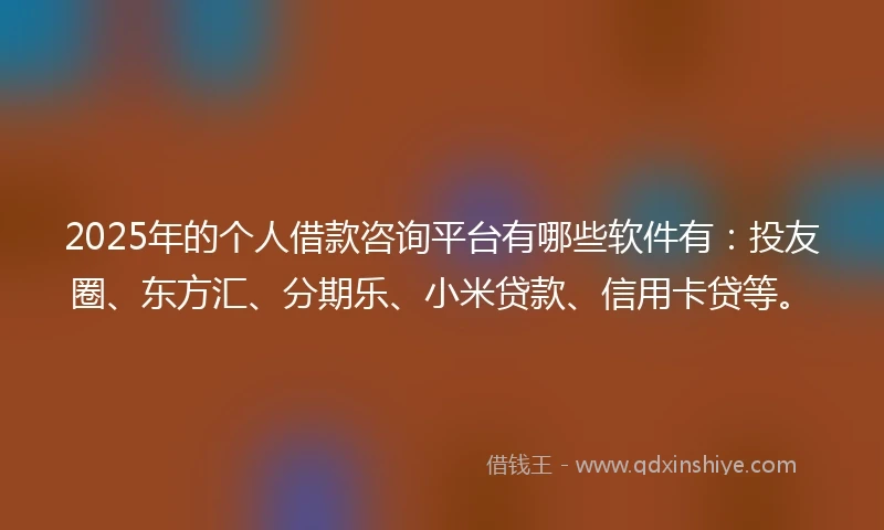 2025年的个人借款咨询平台有哪些软件有：投友圈、东方汇、分期乐、小米贷款、信用卡贷等。