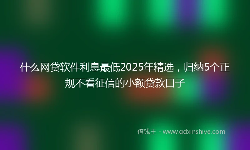 什么网贷软件利息最低2025年精选，归纳5个正规不看征信的小额贷款口子