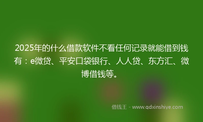 2025年的什么借款软件不看任何记录就能借到钱有：e微贷、平安口袋银行、人人贷、东方汇、微博借钱等。