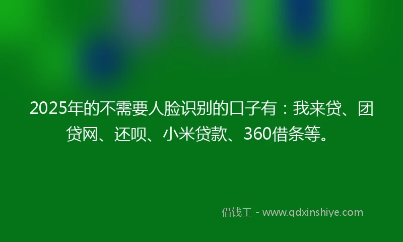 2025年的不需要人脸识别的口子有：我来贷、团贷网、还呗、小米贷款、360借条等。