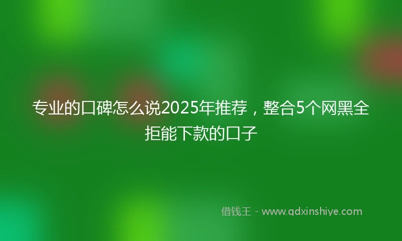 专业的口碑怎么说2025年推荐，整合5个网黑全拒能下款的口子