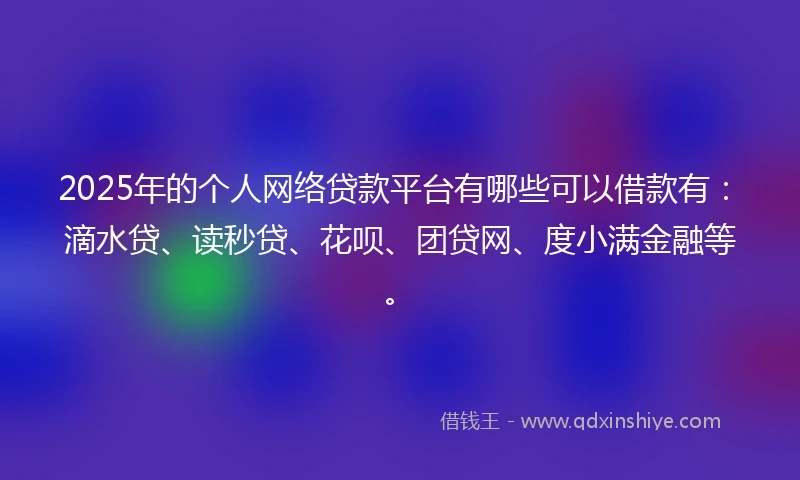 2025年的个人网络贷款平台有哪些可以借款有：滴水贷、读秒贷、花呗、团贷网、度小满金融等。