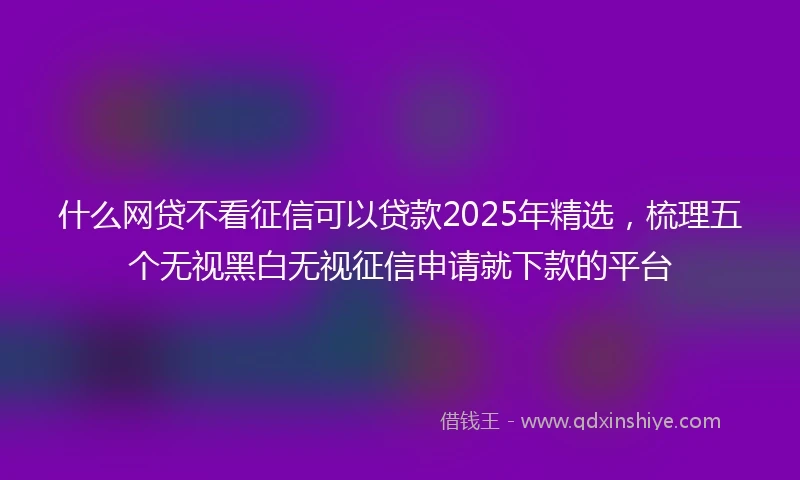 什么网贷不看征信可以贷款2025年精选，梳理五个无视黑白无视征信申请就下款的平台