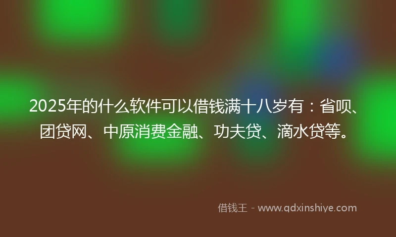 2025年的什么软件可以借钱满十八岁有：省呗、团贷网、中原消费金融、功夫贷、滴水贷等。