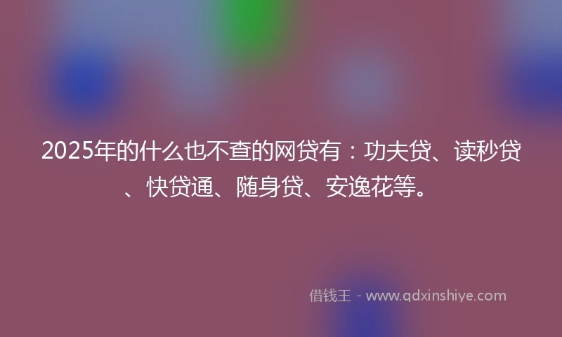 2025年的什么也不查的网贷有：功夫贷、读秒贷、快贷通、随身贷、安逸花等。