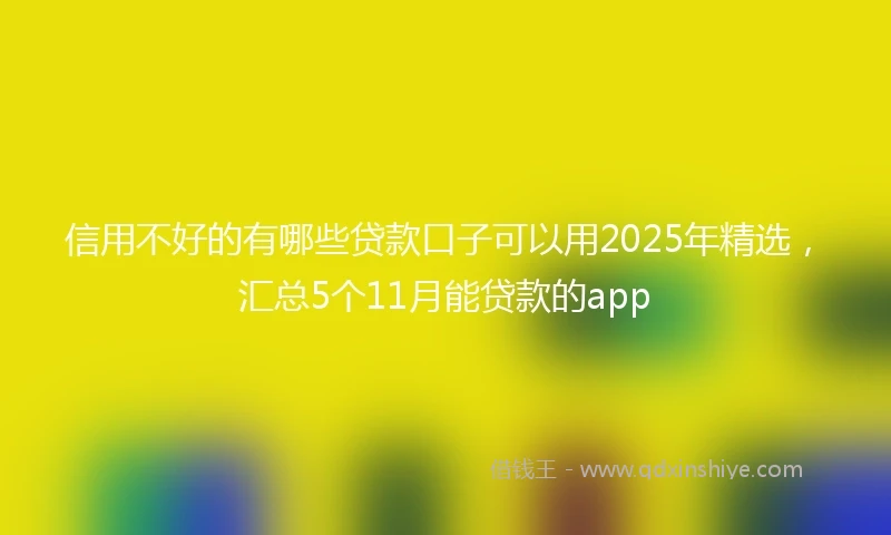 信用不好的有哪些贷款口子可以用2025年精选，汇总5个11月能贷款的app
