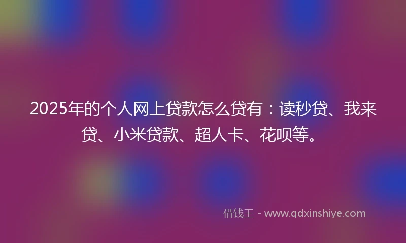 2025年的个人网上贷款怎么贷有：读秒贷、我来贷、小米贷款、超人卡、花呗等。