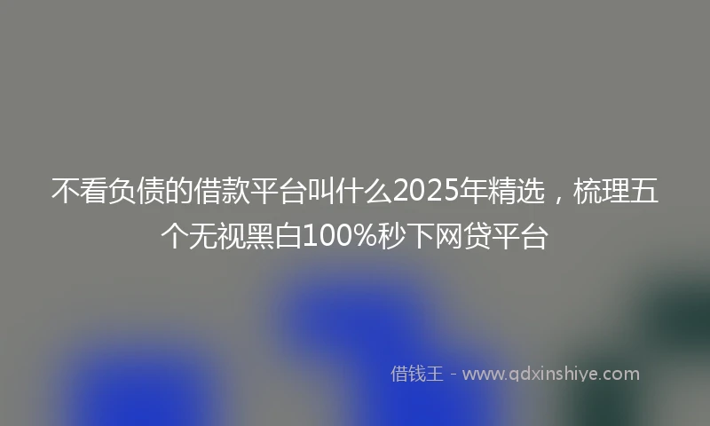 不看负债的借款平台叫什么2025年精选，梳理五个无视黑白100%秒下网贷平台