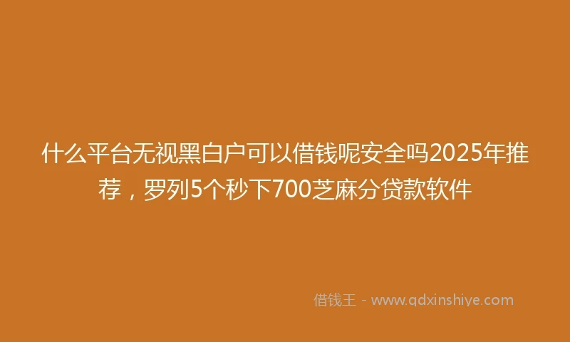 什么平台无视黑白户可以借钱呢安全吗2025年推荐，罗列5个秒下700芝麻分贷款软件