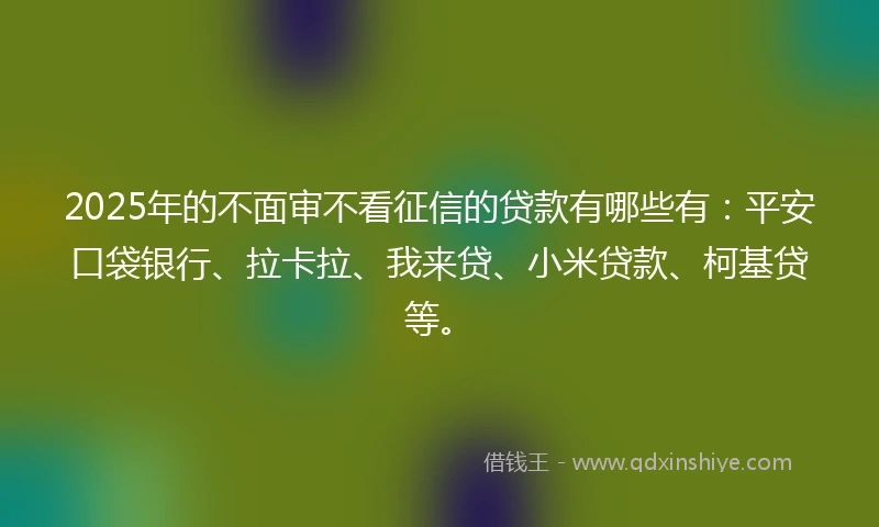 2025年的不面审不看征信的贷款有哪些有：平安口袋银行、拉卡拉、我来贷、小米贷款、柯基贷等。