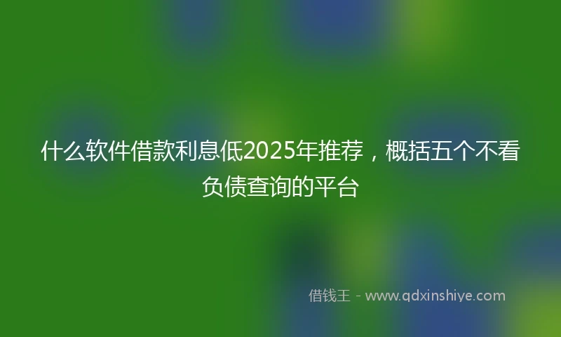 什么软件借款利息低2025年推荐，概括五个不看负债查询的平台