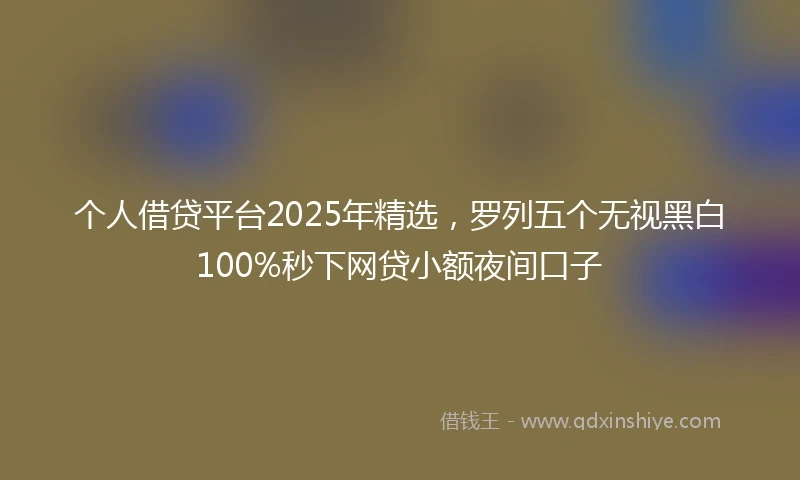 个人借贷平台2025年精选，罗列五个无视黑白100%秒下网贷小额夜间口子