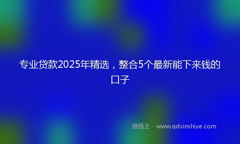 专业贷款2025年精选，整合5个最新能下来钱的口子