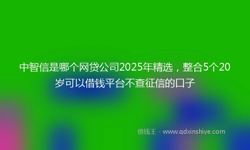 中智信是哪个网贷公司2025年精选，整合5个20岁可以借钱平台不查征信的口子