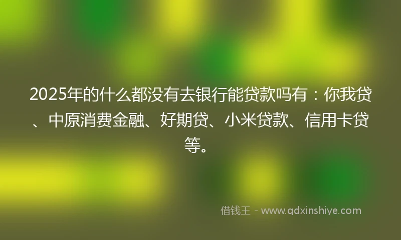 2025年的什么都没有去银行能贷款吗有：你我贷、中原消费金融、好期贷、小米贷款、信用卡贷等。