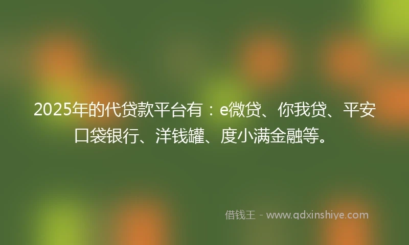 2025年的代贷款平台有：e微贷、你我贷、平安口袋银行、洋钱罐、度小满金融等。
