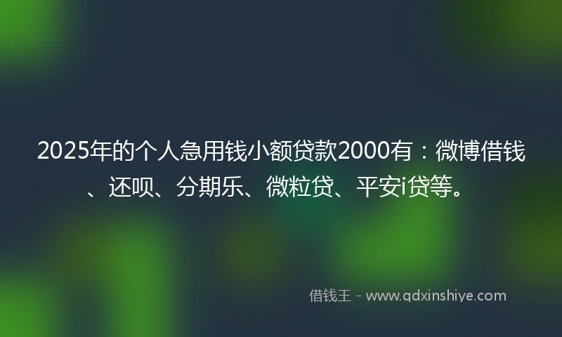2025年的个人急用钱小额贷款2000有：微博借钱、还呗、分期乐、微粒贷、平安i贷等。