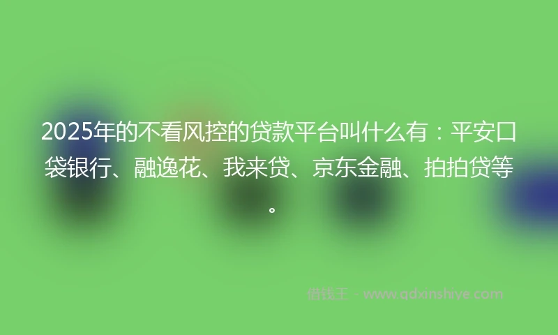 2025年的不看风控的贷款平台叫什么有：平安口袋银行、融逸花、我来贷、京东金融、拍拍贷等。