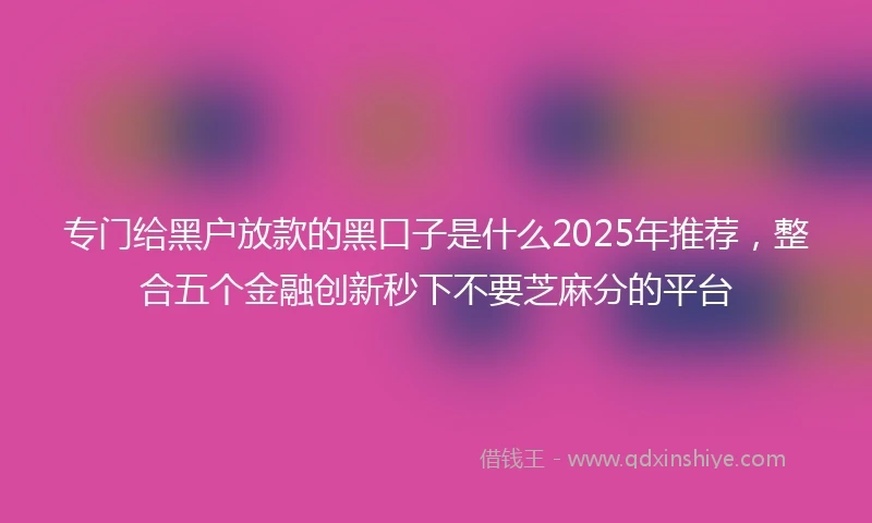 专门给黑户放款的黑口子是什么2025年推荐，整合五个金融创新秒下不要芝麻分的平台
