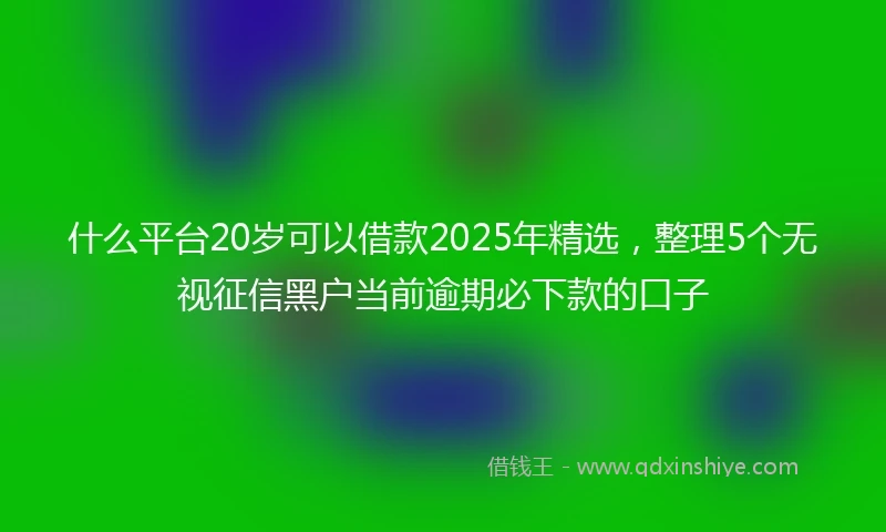 什么平台20岁可以借款2025年精选，整理5个无视征信黑户当前逾期必下款的口子