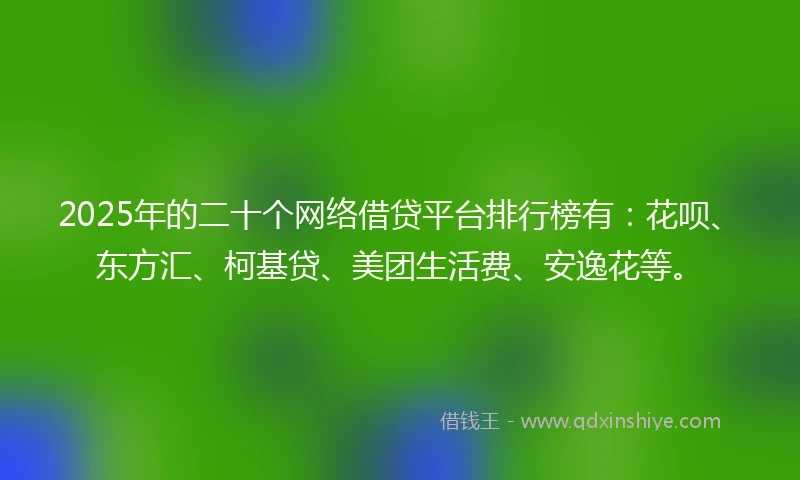 2025年的二十个网络借贷平台排行榜有：花呗、东方汇、柯基贷、美团生活费、安逸花等。