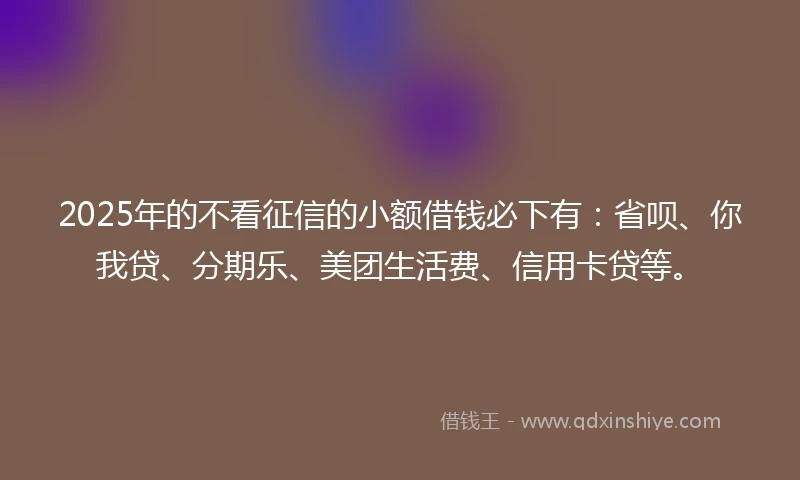 2025年的不看征信的小额借钱必下有：省呗、你我贷、分期乐、美团生活费、信用卡贷等。