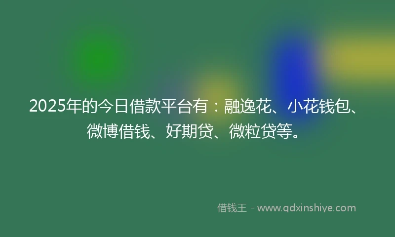 2025年的今日借款平台有：融逸花、小花钱包、微博借钱、好期贷、微粒贷等。