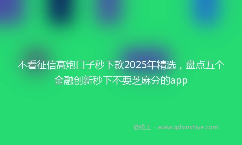 不看征信高炮口子秒下款2025年精选，盘点五个金融创新秒下不要芝麻分的app