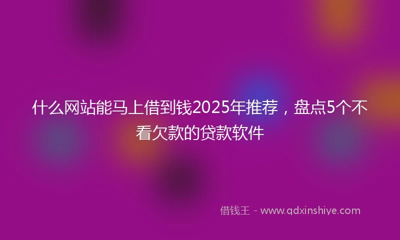 什么网站能马上借到钱2025年推荐，盘点5个不看欠款的贷款软件