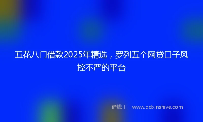 五花八门借款2025年精选，罗列五个网贷口子风控不严的平台
