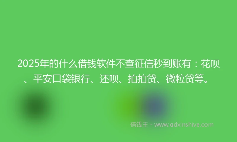 2025年的什么借钱软件不查征信秒到账有：花呗、平安口袋银行、还呗、拍拍贷、微粒贷等。