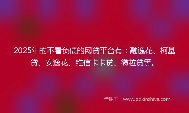 2025年的不看负债的网贷平台有：融逸花、柯基贷、安逸花、维信卡卡贷、微粒贷等。