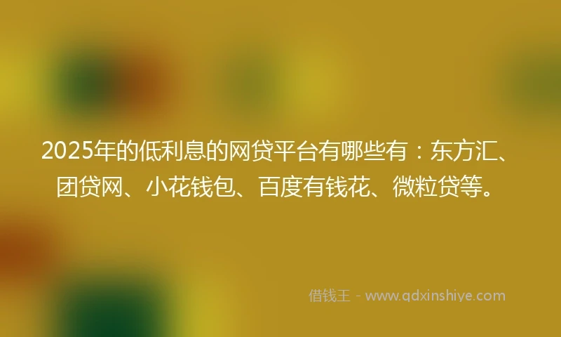 2025年的低利息的网贷平台有哪些有：东方汇、团贷网、小花钱包、百度有钱花、微粒贷等。