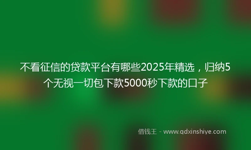不看征信的贷款平台有哪些2025年精选，归纳5个无视一切包下款5000秒下款的口子