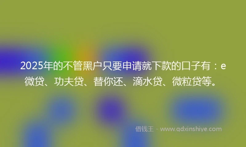 2025年的不管黑户只要申请就下款的口子有：e微贷、功夫贷、替你还、滴水贷、微粒贷等。