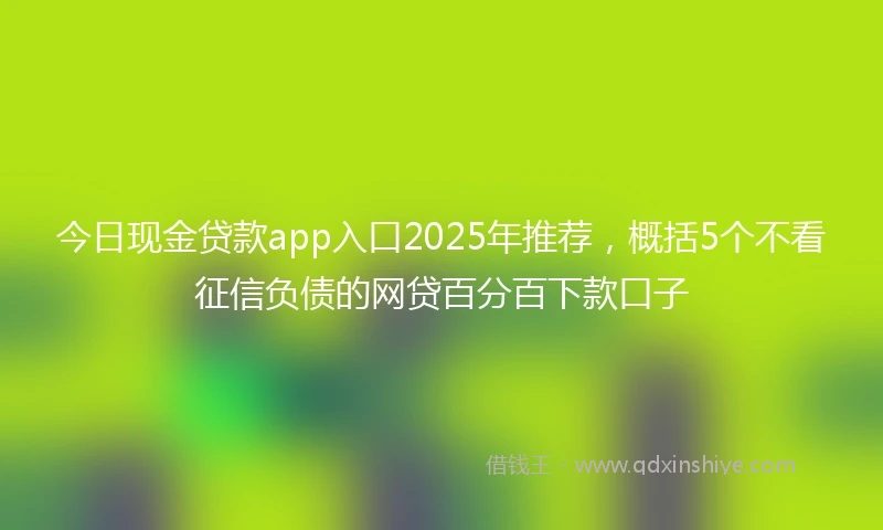 今日现金贷款app入口2025年推荐，概括5个不看征信负债的网贷百分百下款口子