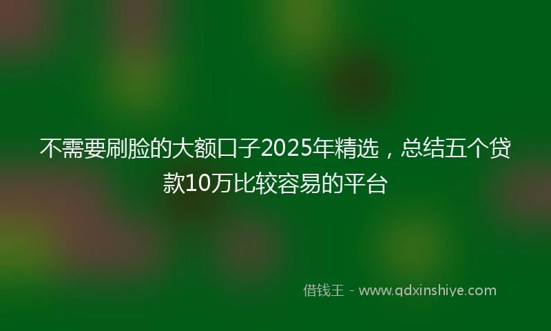 不需要刷脸的大额口子2025年精选，总结五个贷款10万比较容易的平台