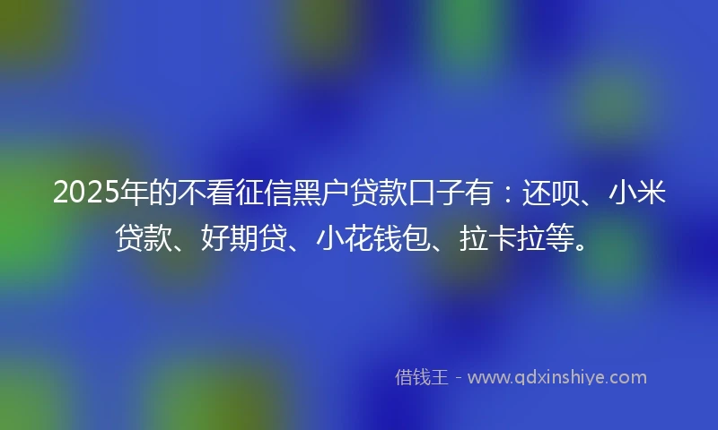 2025年的不看征信黑户贷款口子有：还呗、小米贷款、好期贷、小花钱包、拉卡拉等。