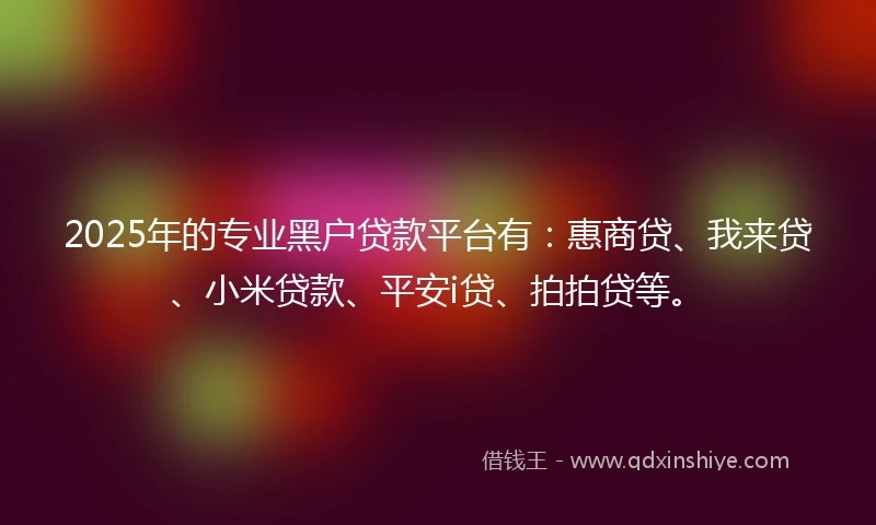 2025年的专业黑户贷款平台有：惠商贷、我来贷、小米贷款、平安i贷、拍拍贷等。