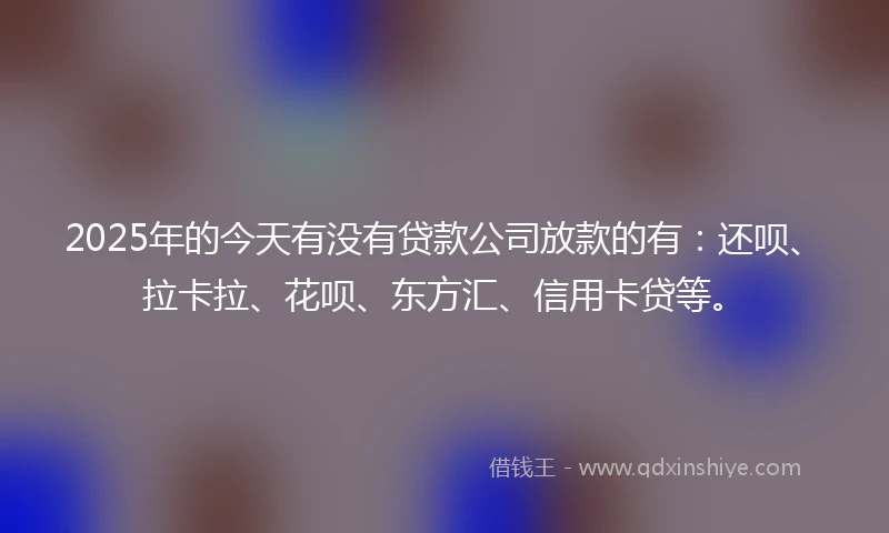2025年的今天有没有贷款公司放款的有：还呗、拉卡拉、花呗、东方汇、信用卡贷等。