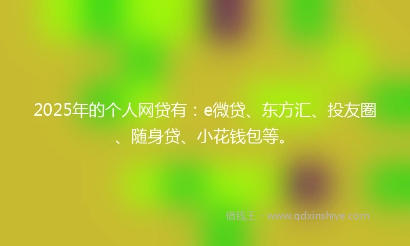2025年的个人网贷有：e微贷、东方汇、投友圈、随身贷、小花钱包等。
