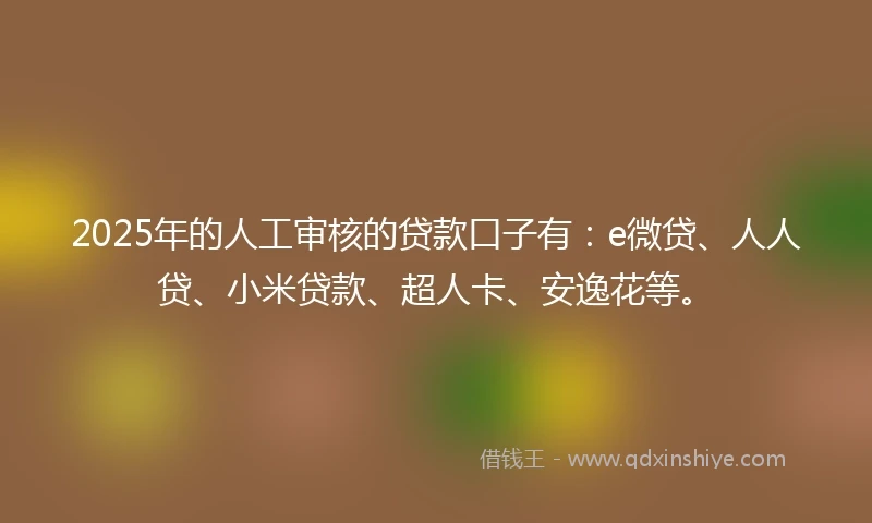 2025年的人工审核的贷款口子有：e微贷、人人贷、小米贷款、超人卡、安逸花等。