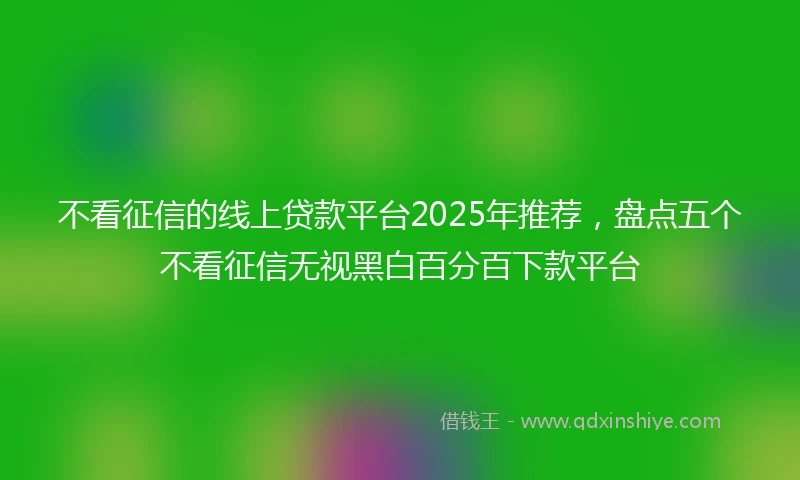 不看征信的线上贷款平台2025年推荐，盘点五个不看征信无视黑白百分百下款平台