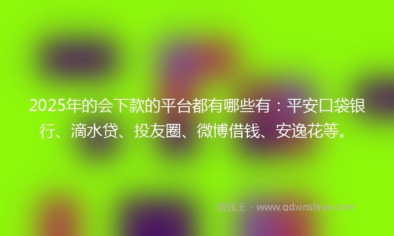 2025年的会下款的平台都有哪些有：平安口袋银行、滴水贷、投友圈、微博借钱、安逸花等。