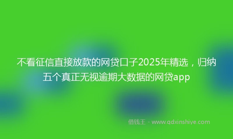 不看征信直接放款的网贷口子2025年精选，归纳五个真正无视逾期大数据的网贷app