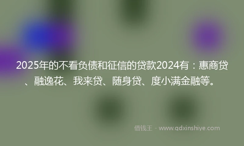 2025年的不看负债和征信的贷款2024有：惠商贷、融逸花、我来贷、随身贷、度小满金融等。