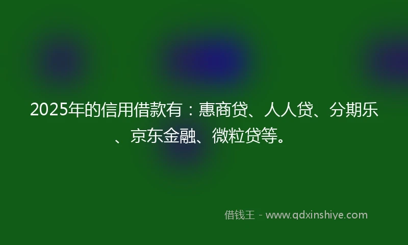 2025年的信用借款有：惠商贷、人人贷、分期乐、京东金融、微粒贷等。